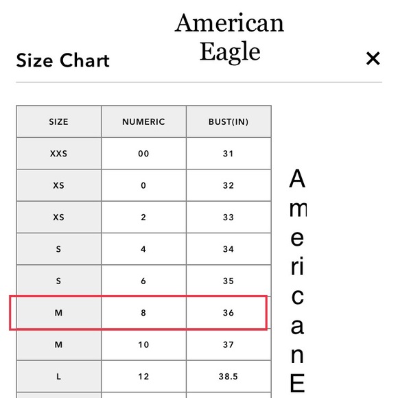 American Eagle Outfitters- teal top - Picture 9 of 9